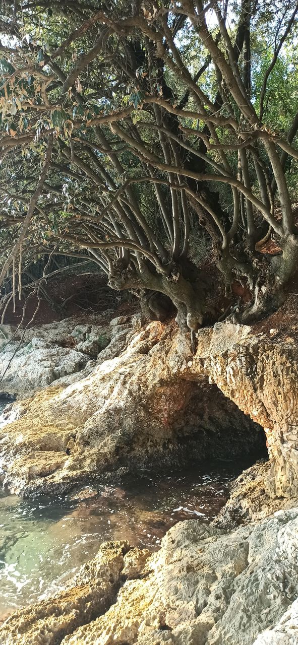 small cave