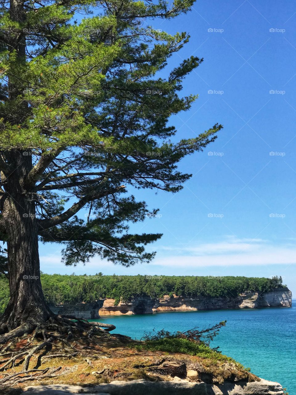 Life’s a beach, so live it up to the fullest. One day or day one, you decide your dreams. 