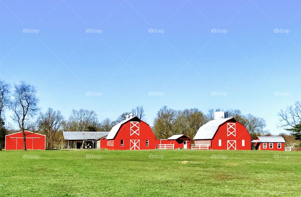 Red Barns Green Grass