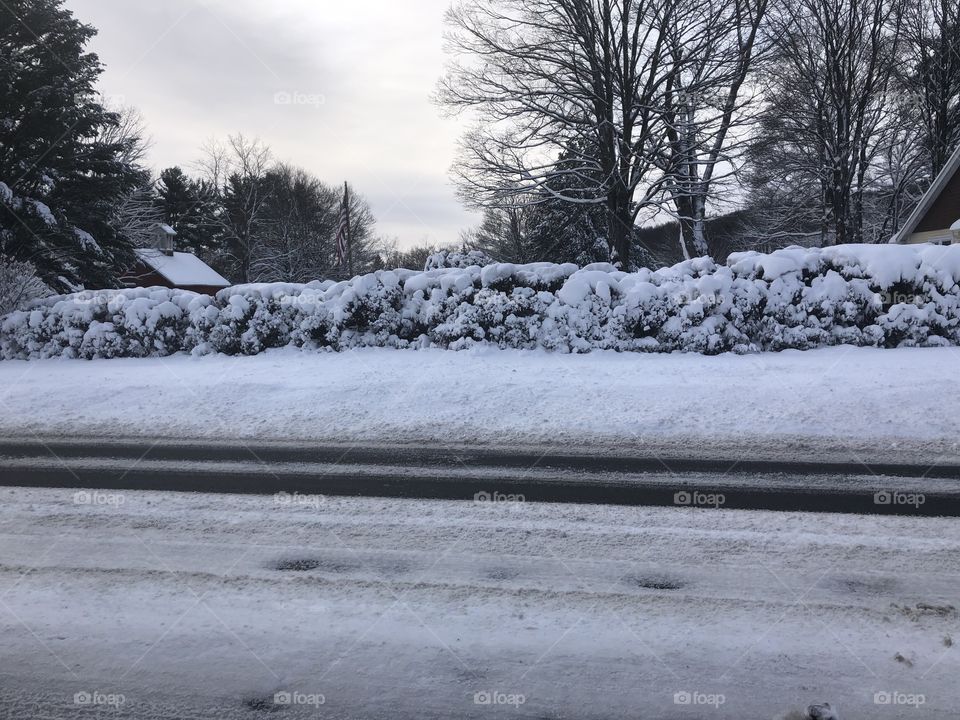 A winter wonderland in Bristol Connecticut