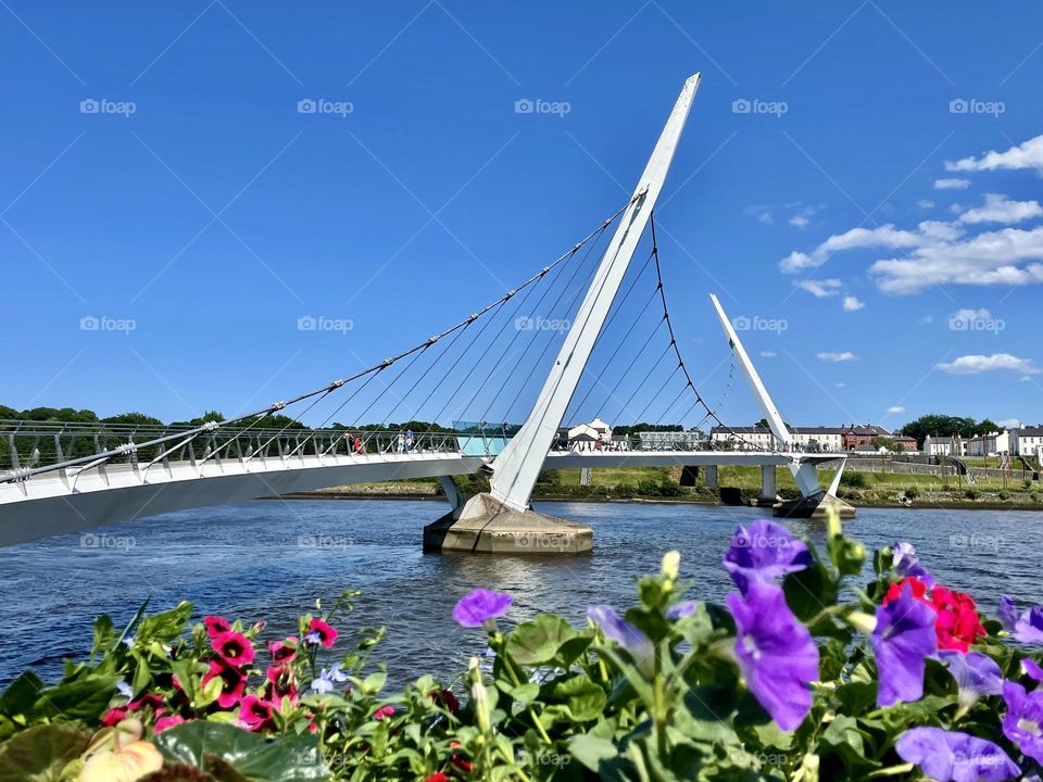 The Peace Bridge in Derry, with its distinctive architecture weaves over the River Foyle.