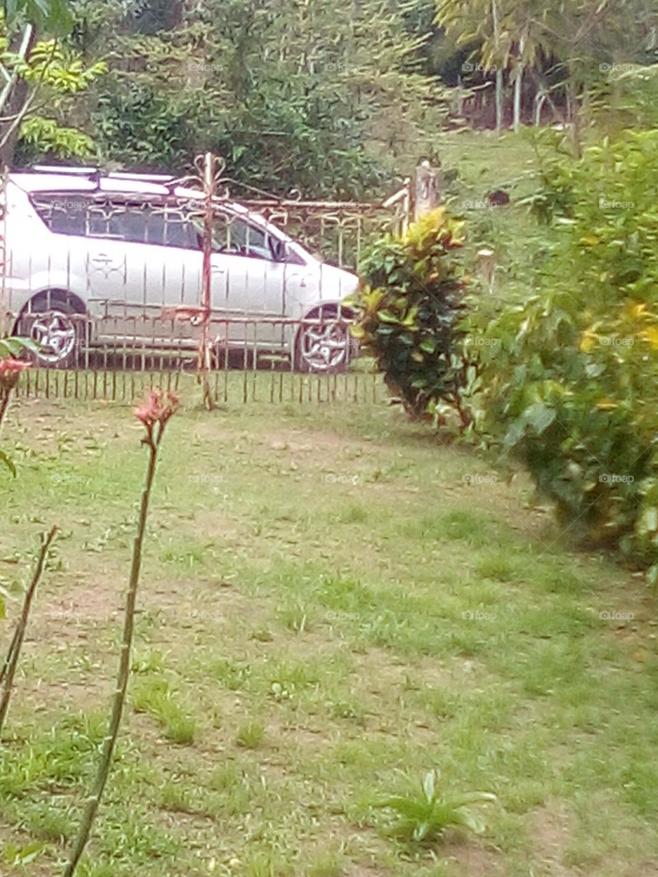 the greatest love I can ever imagine is to be in nature and fell the wonderful win and dance in the rain