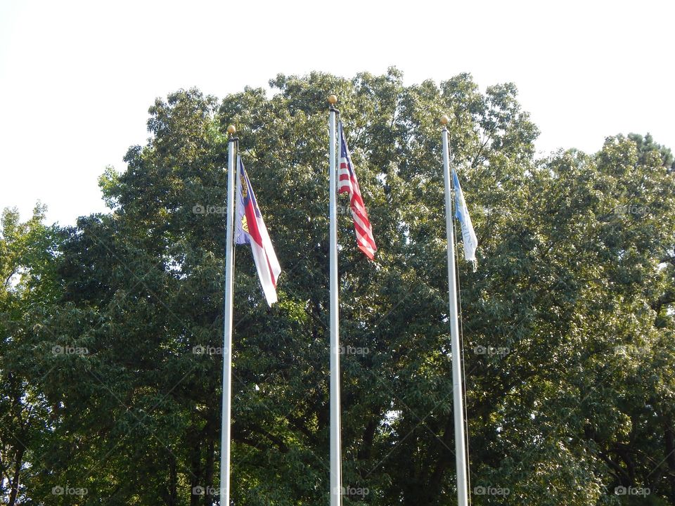 Three Flags with a Tree Background 