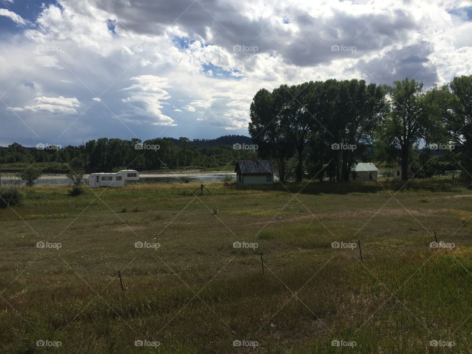 Landscape, No Person, Tree, Agriculture, Grass