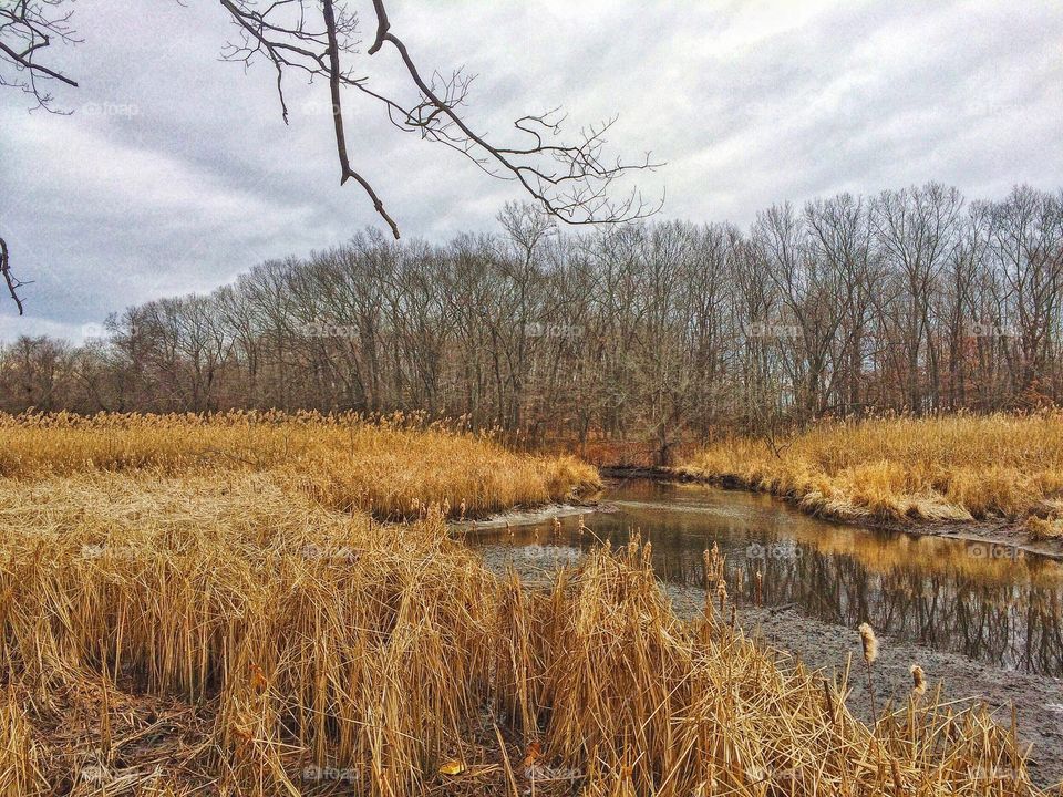 Scenic view of river