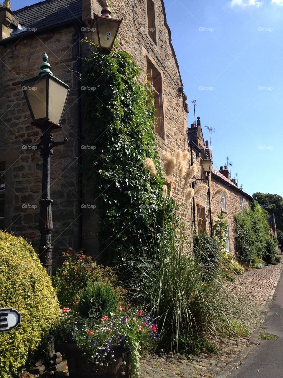 Branscombe Village View