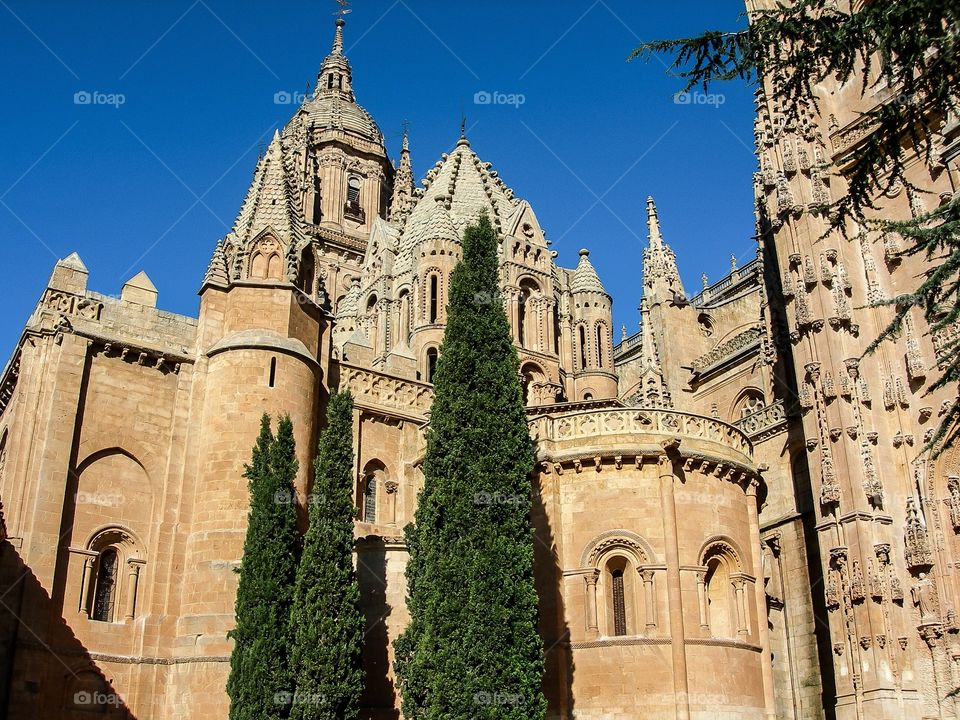 Catedral de salamanca, salamanca, spain