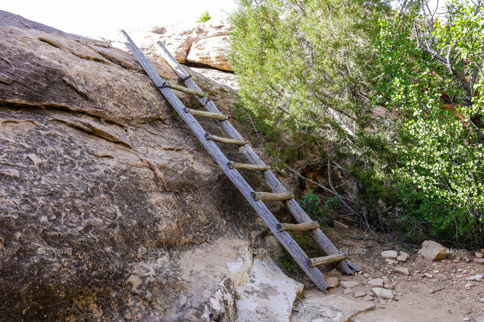 Trail Ladder
