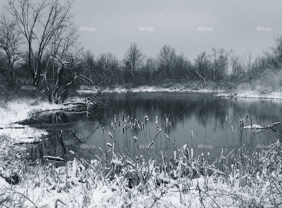 Winter at Alum Creek Pond