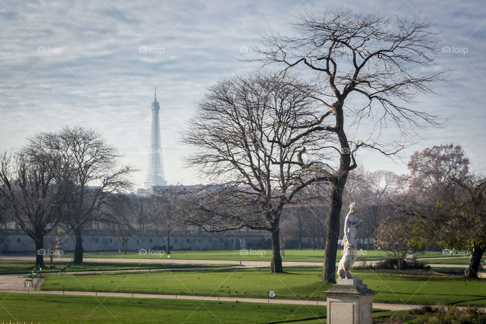 Eiffel Tower seen from Tuileries Garden