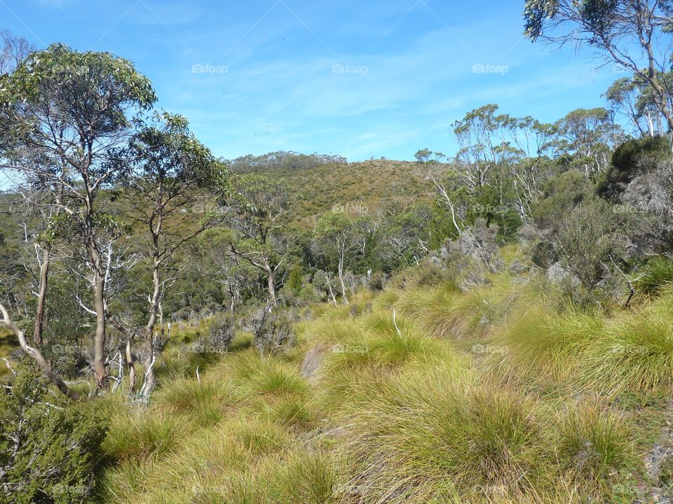 beautiful Tasmania 