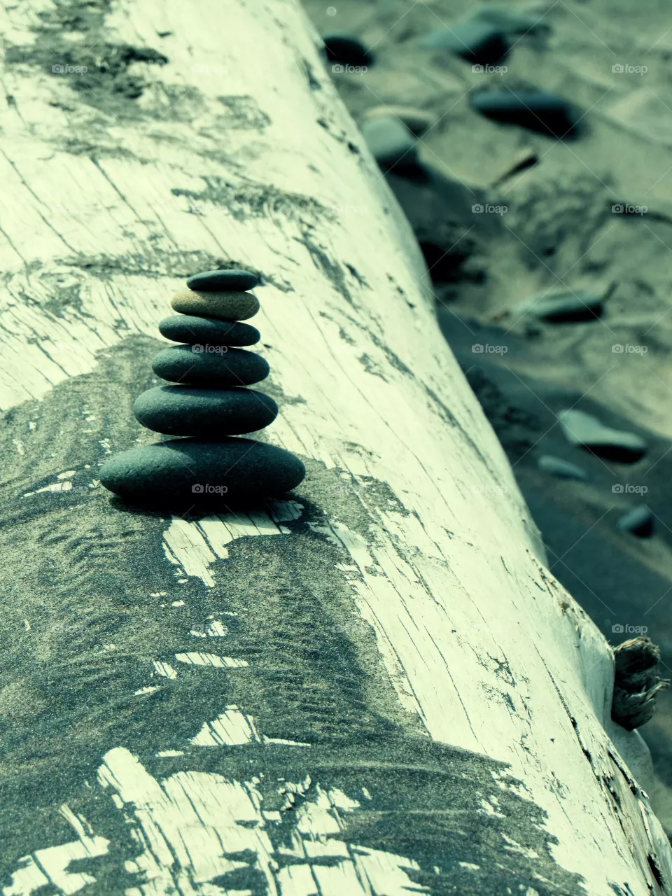 Stacked logs on log