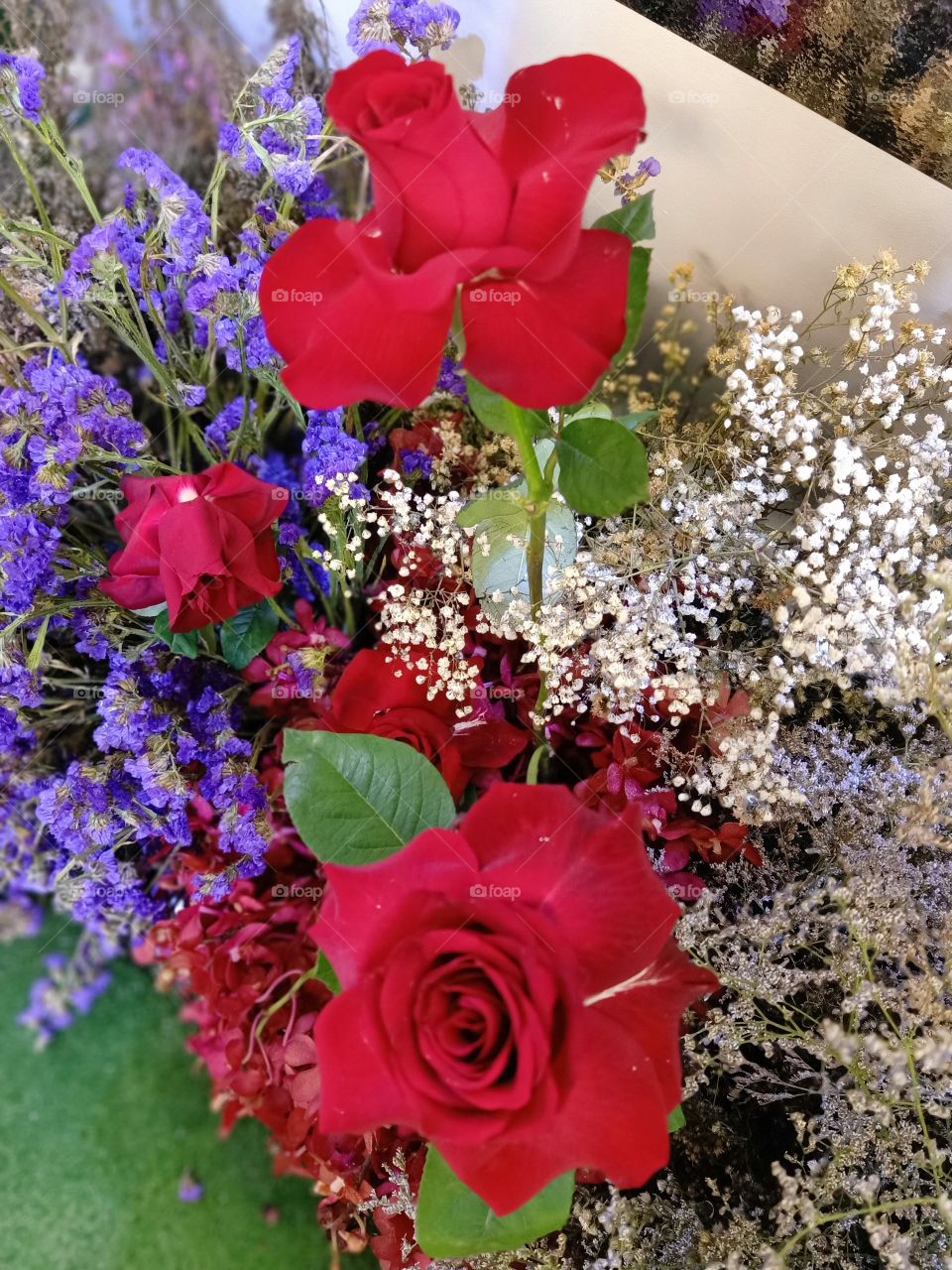 Beautiful red roses