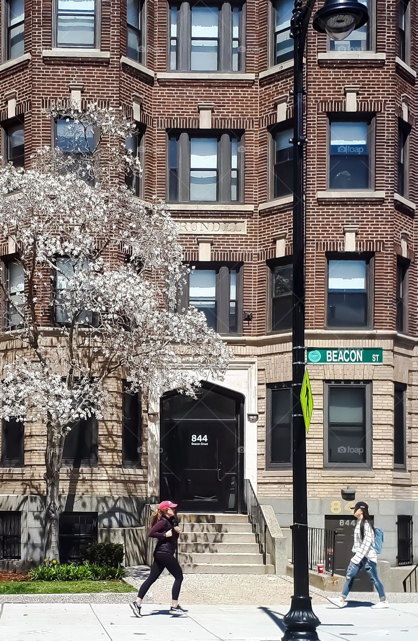 Woman doing Cooper;  Teenager walking;  Tree receiving sunlight next to the flowers in the garden.  All these scenes in a single image of life in motion.
Mulher fazendo Cooper; Adolescente caminhando; Árvore recebendo a luz do sol junto às flores