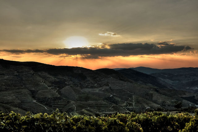 Douro Vinhateiro