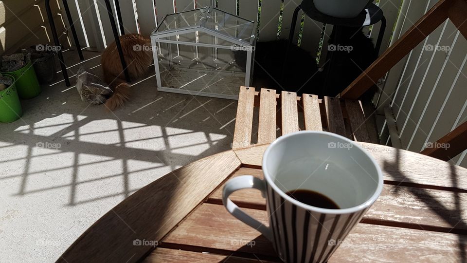 kaffepaus i solsken