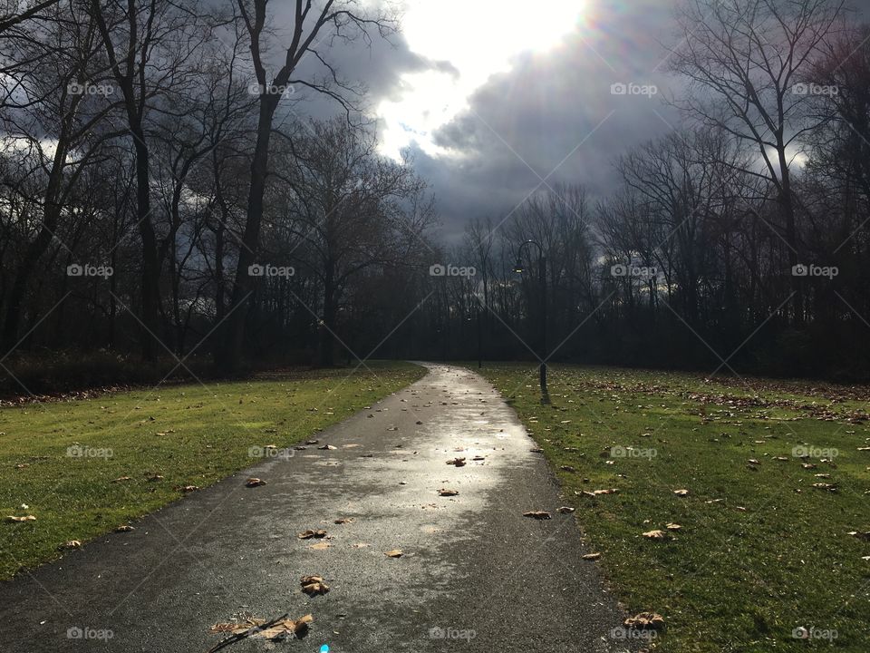 A winter walk through a local park, to see my favorite group of ducks. It’s cloudy, and snow is on the way. Little sun, but it peeks through.