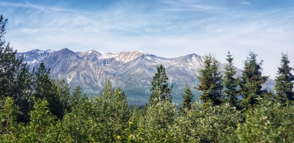 Forest and mountains - what a beautiful sight
