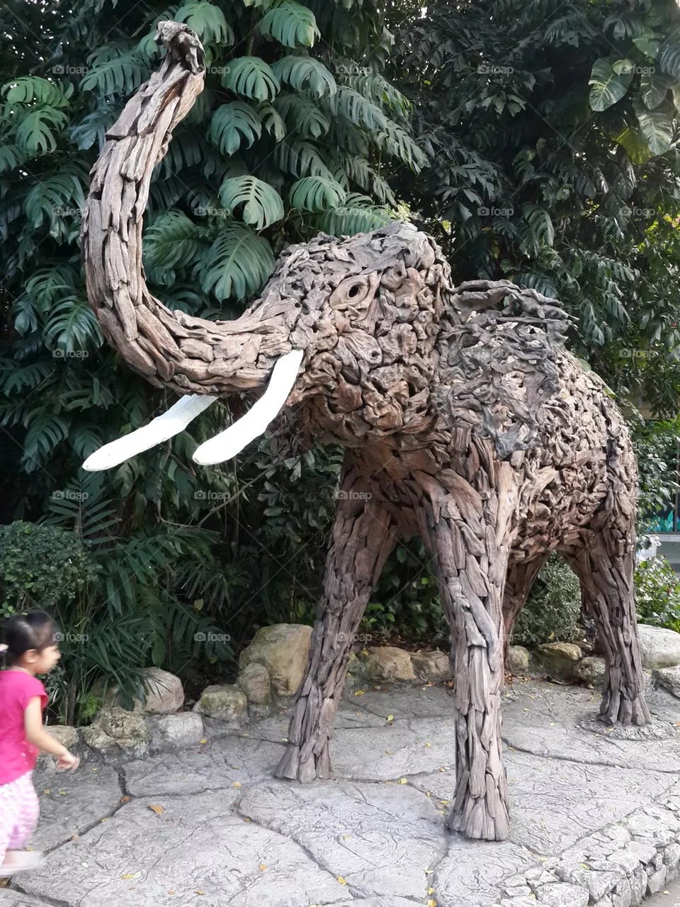 Elephant