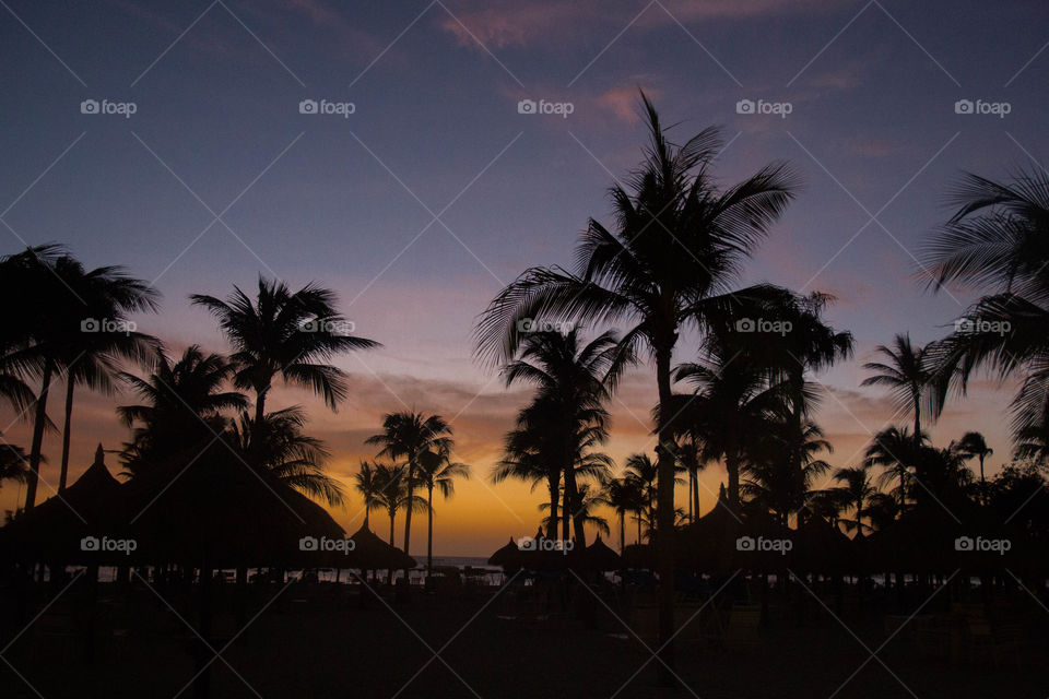 Aruba Sunset