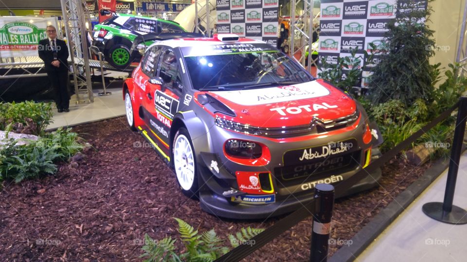 Citroën Skoda WRC - Autosport International 2018