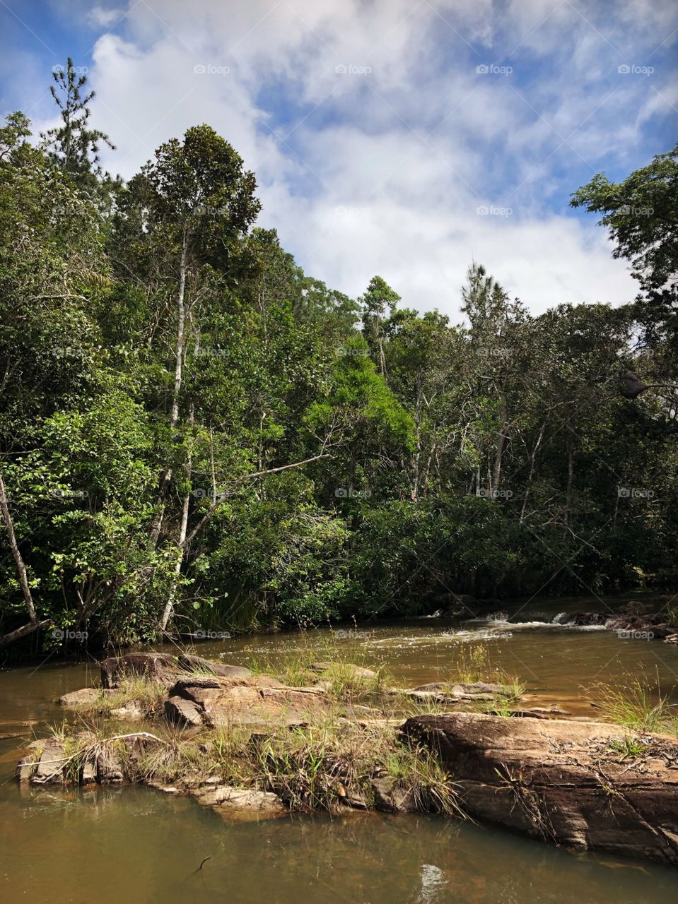 Cachoeira dos índios 
