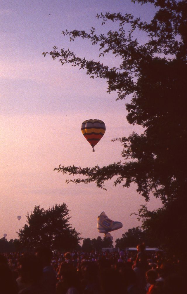 hot air balloon trees sky crowd competition
