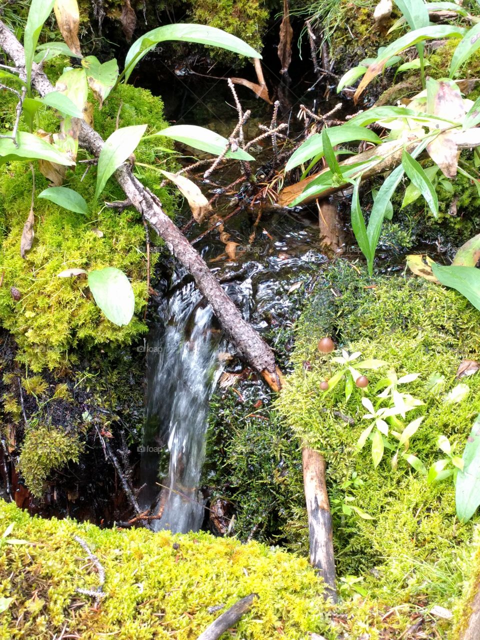 micro waterfall