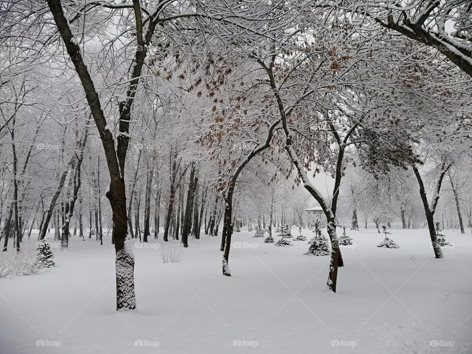 Snow park