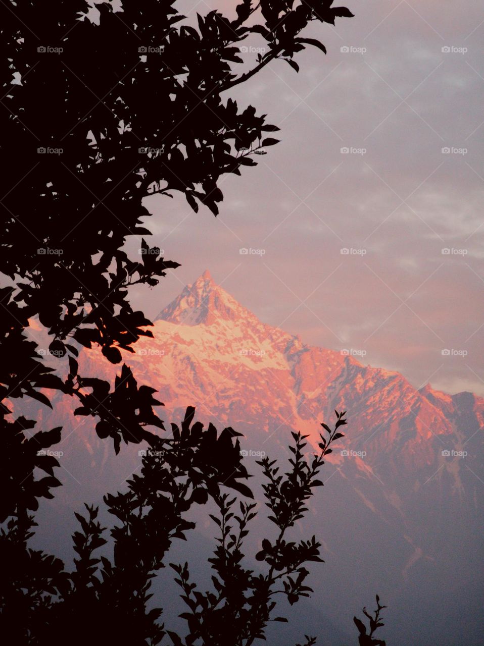 Mountain of himalayas