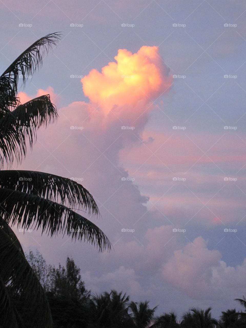 Cloud at sunset