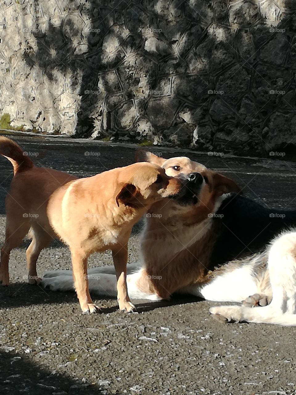 Humans have something to learn