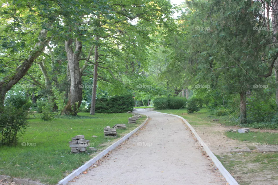Park