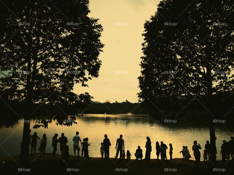 Silhouette of families in a park, play and have fun together