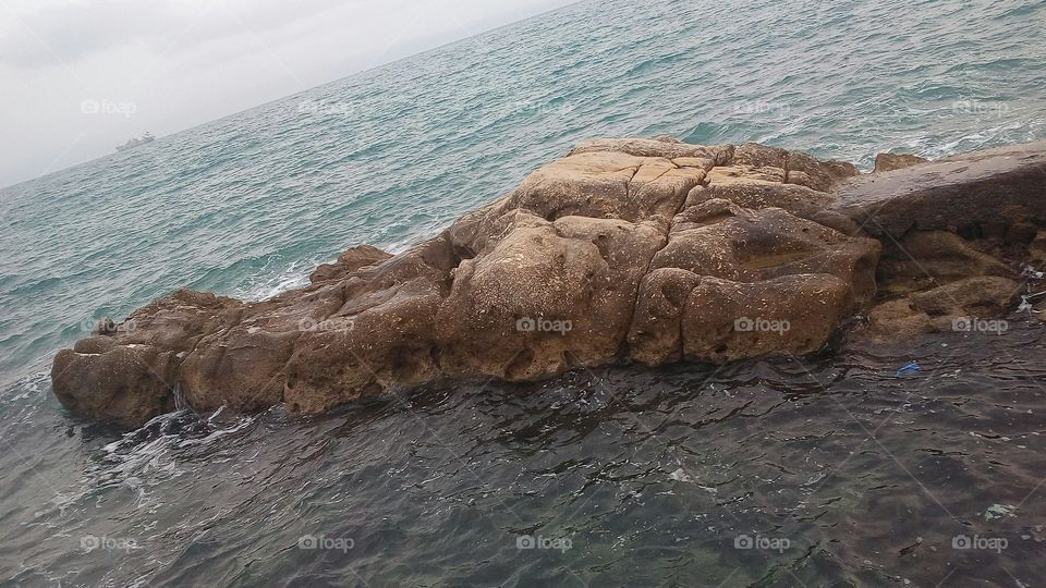Aligator sea rock