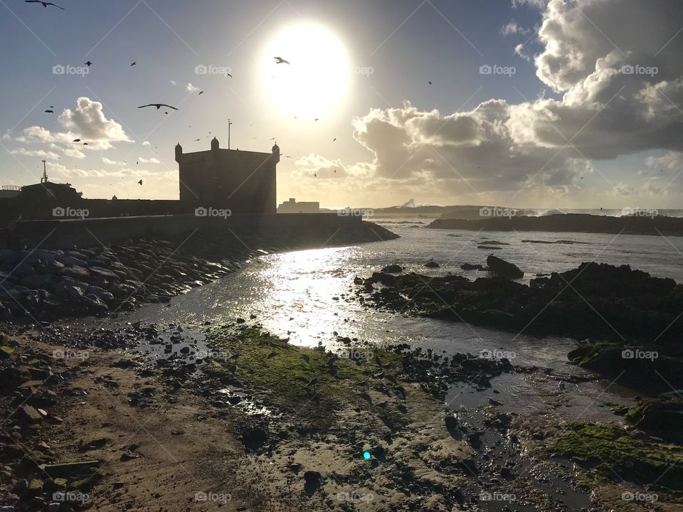 Sun shining after an heavy rain and seagull flying above the old port in essaouira in morocco 