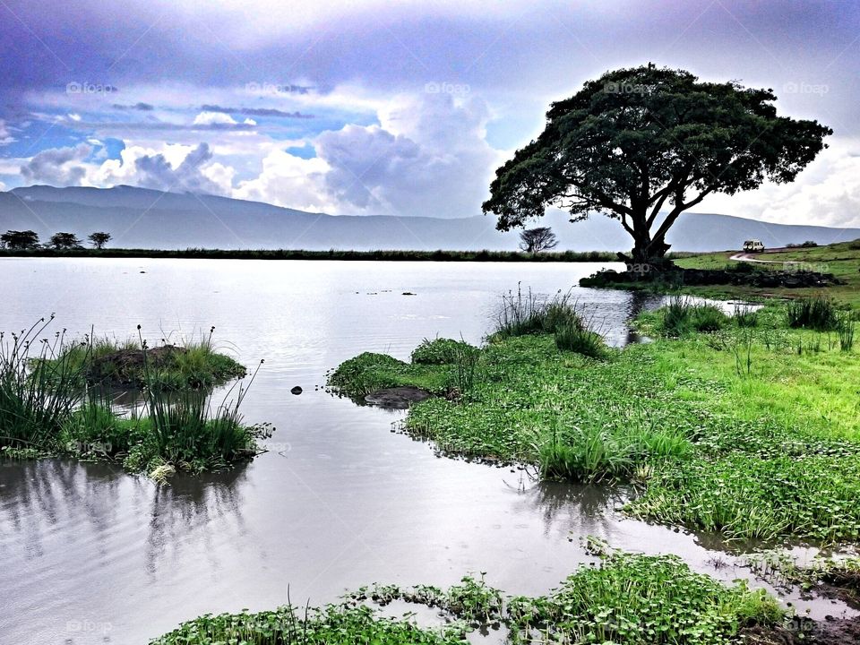 Pond in the Ngorongoro crater. Pond in the Ngorongoro crater