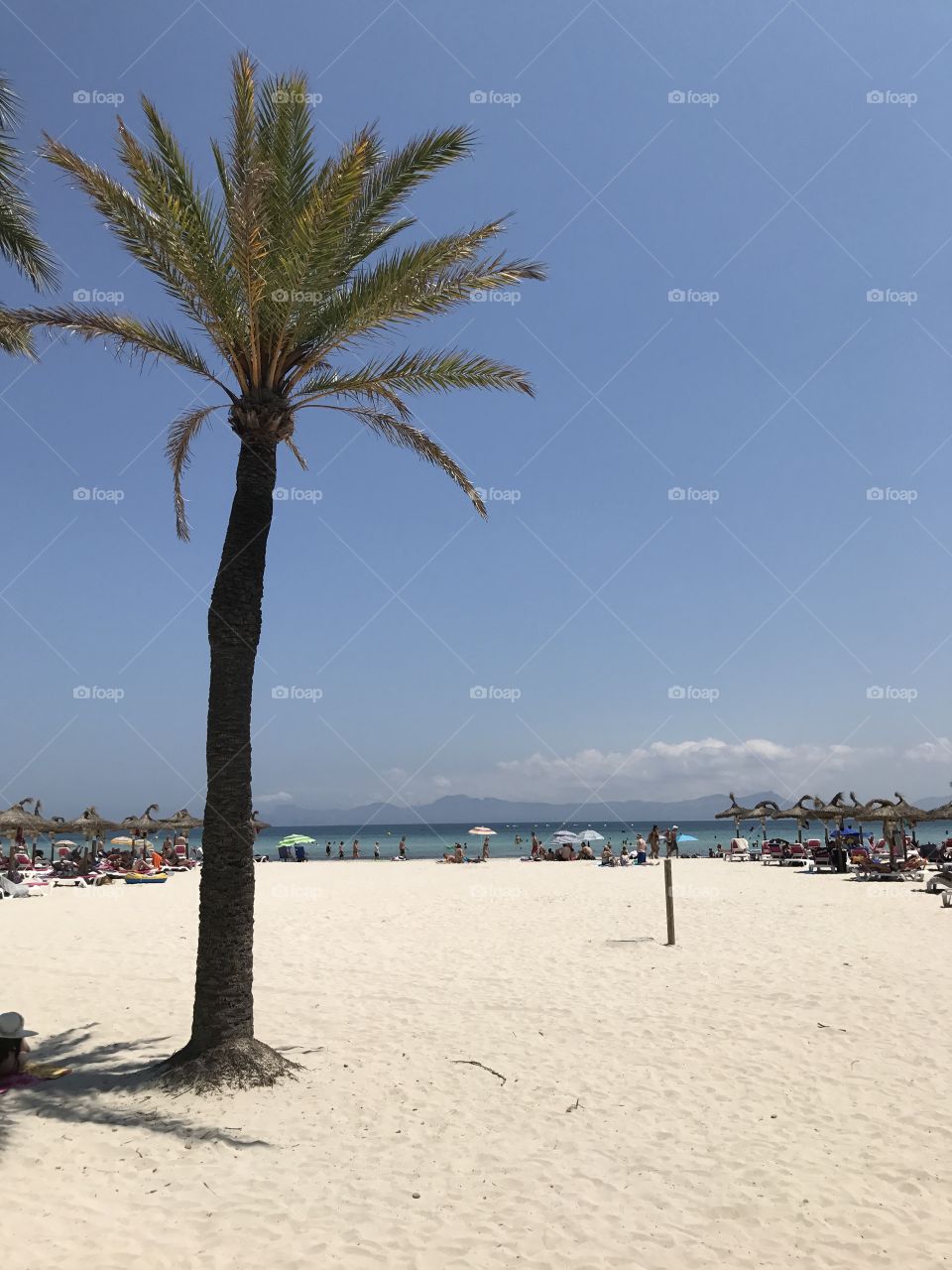 Alcudia beach