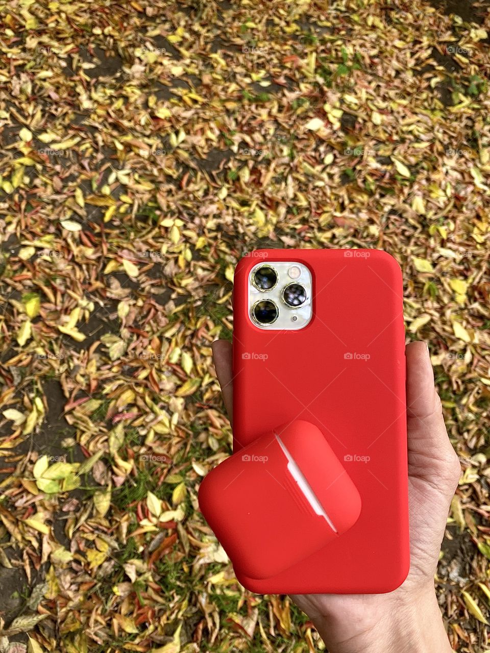 Self phone on fallen leaf background 
