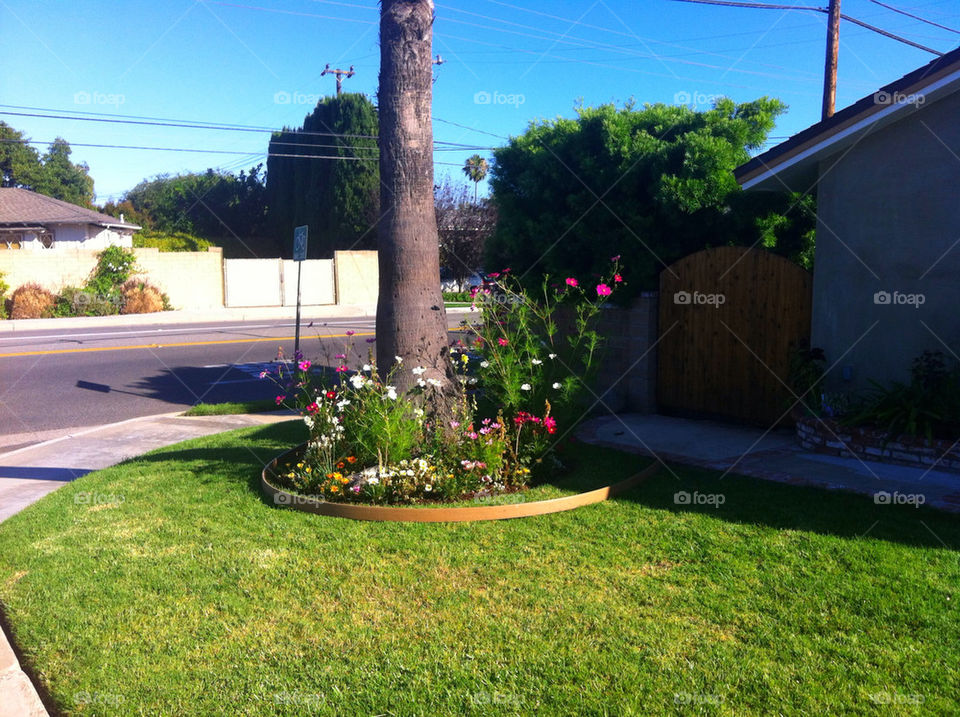 sky street green flowers by blackpearl079