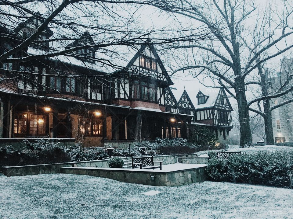 Winter, Snow, Tree, Building, House
