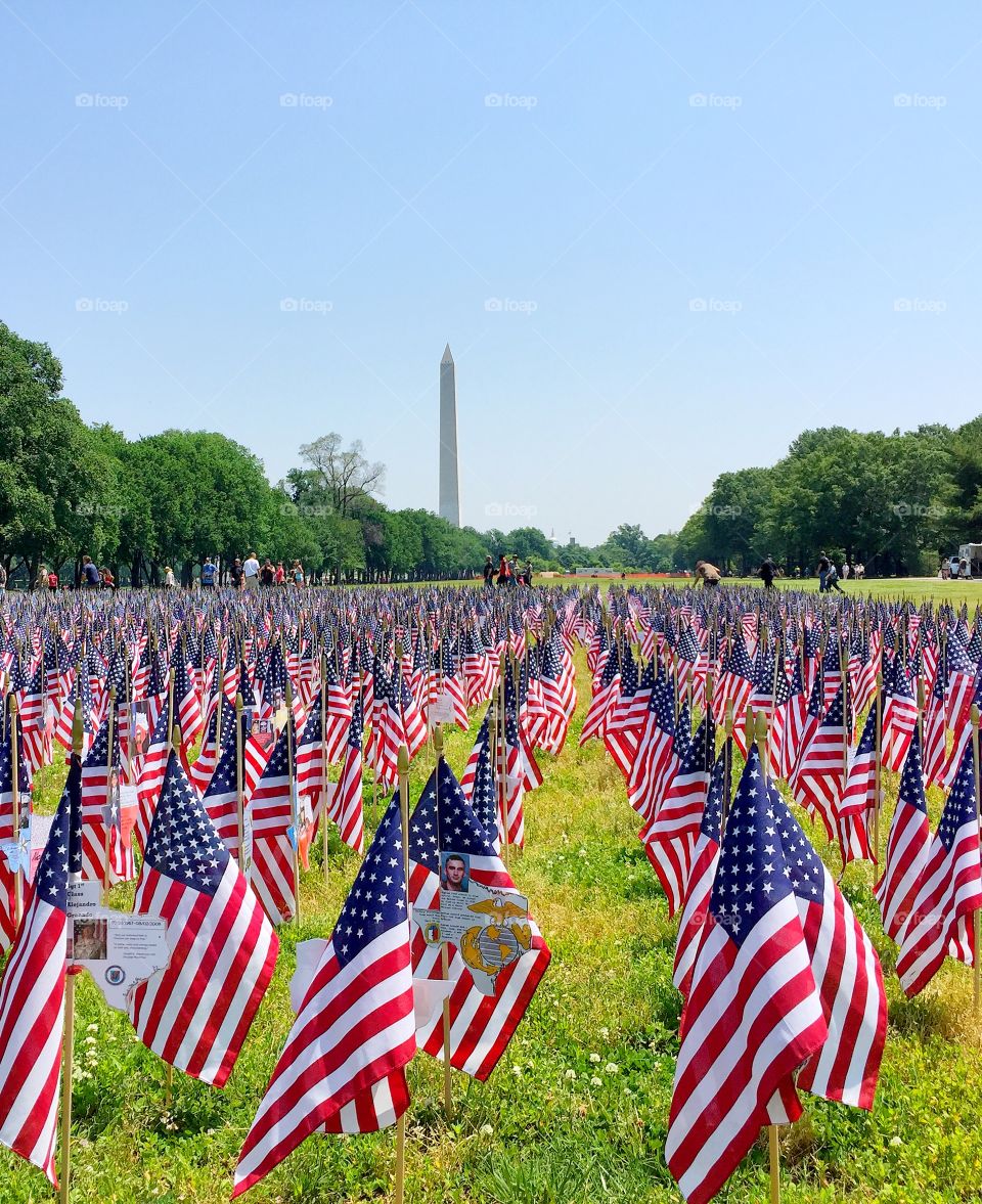 Memorial Day flags