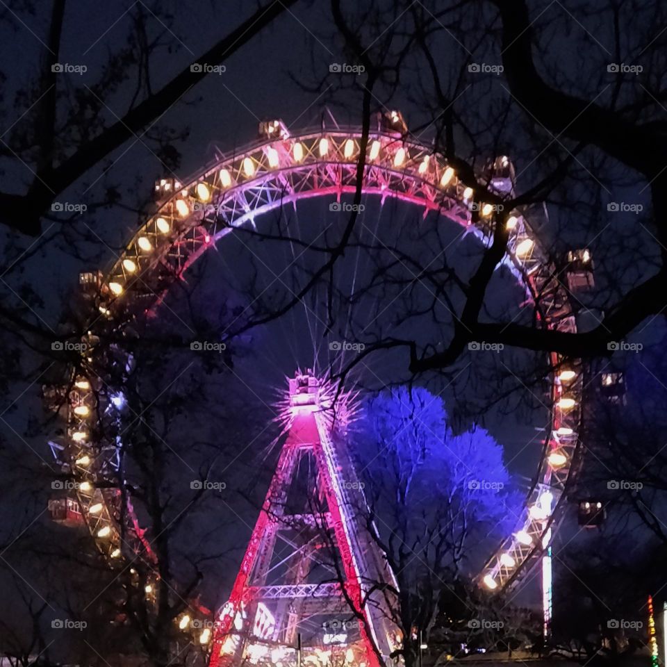 ferris wheel at night