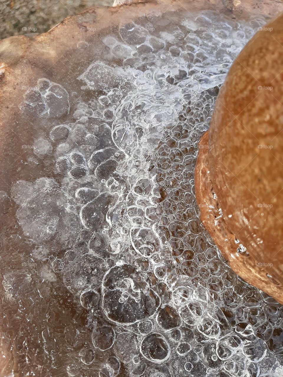 Bubbles under the ice