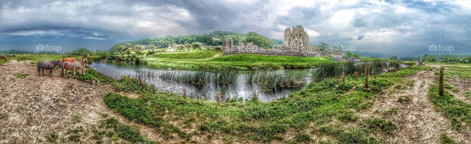 Water, Landscape, Travel, Grass, Nature