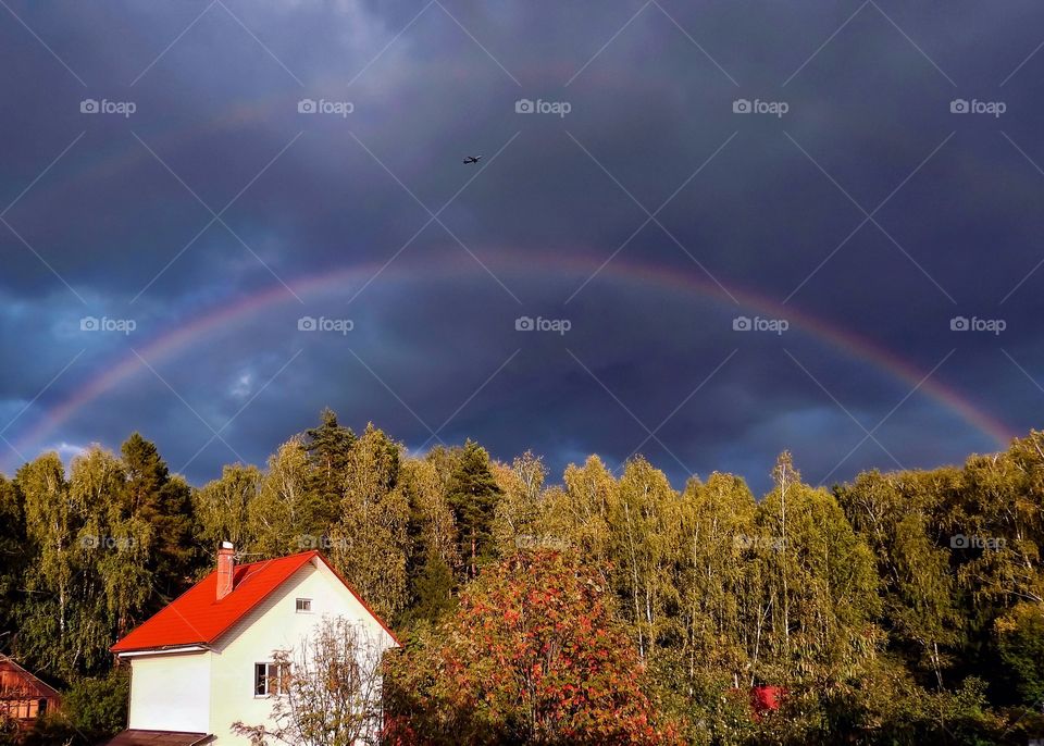 Rainbow over the forest 