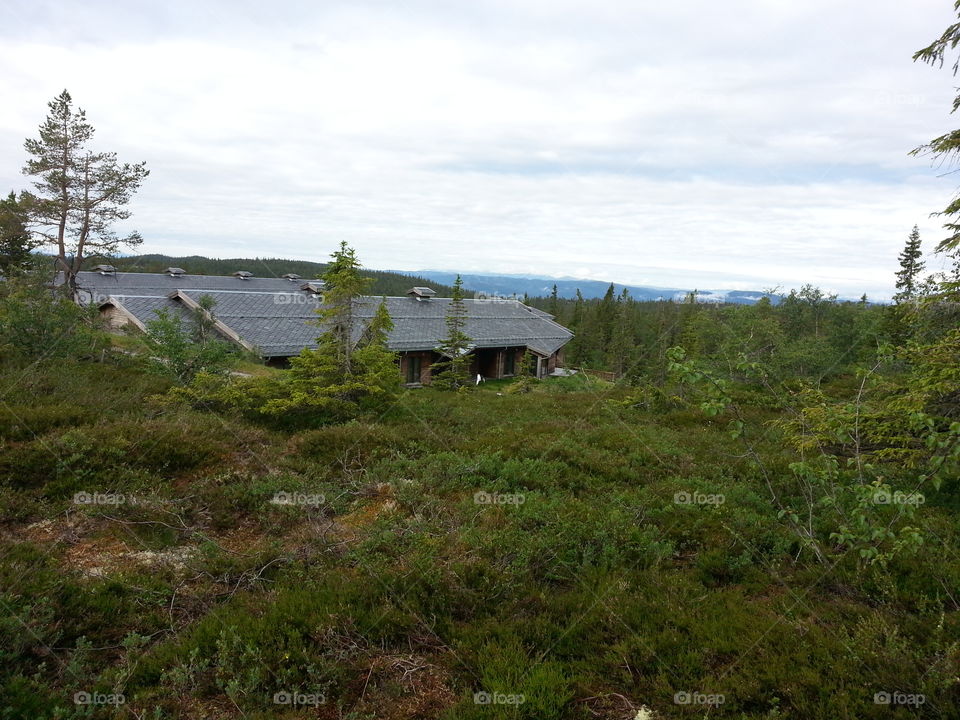 Summer vacation in lovely Norway. Norway is a mixture of all different kind of landscape all  at once.