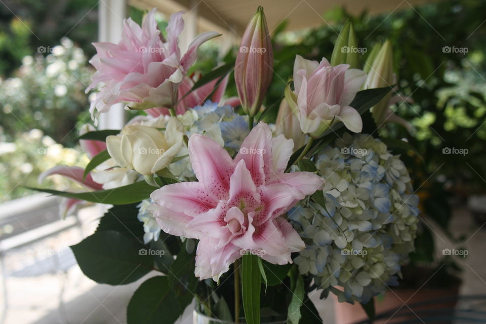 Bouquet Closeup of Double Lily accompanied by blue hydrangeas, ivory roses and stargazer lilies 