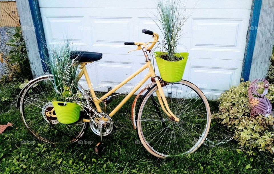 bike and flower pots