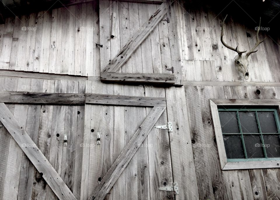 Something about old barns is always enticing. The weathered wood, the elk skull, the mystery inside. 